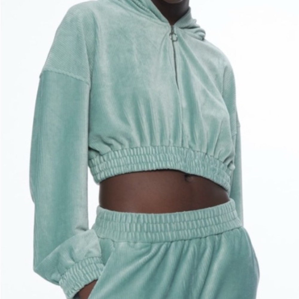 Zara cropped velvet sweatshirt, medium